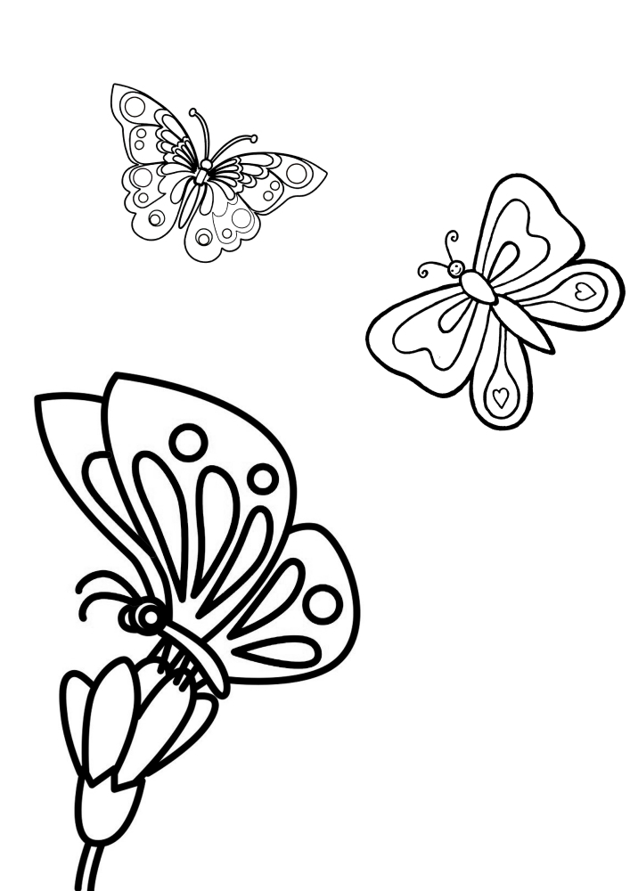 Mariposas y flores.