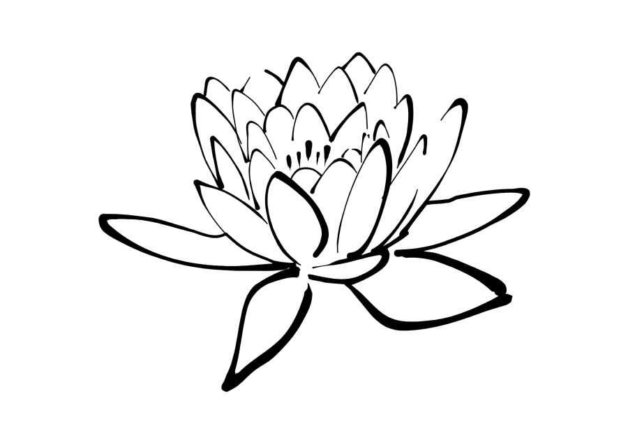 Lotus-coloring book