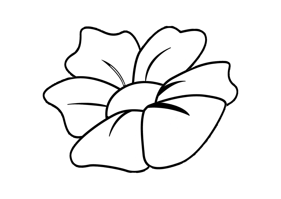 Lotus Malbuch