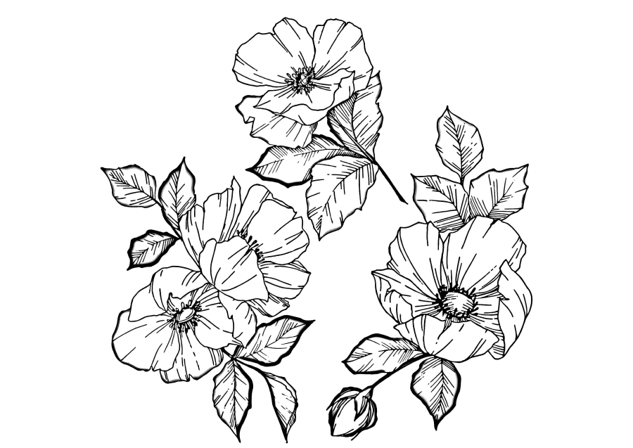 Cinco flores idênticas