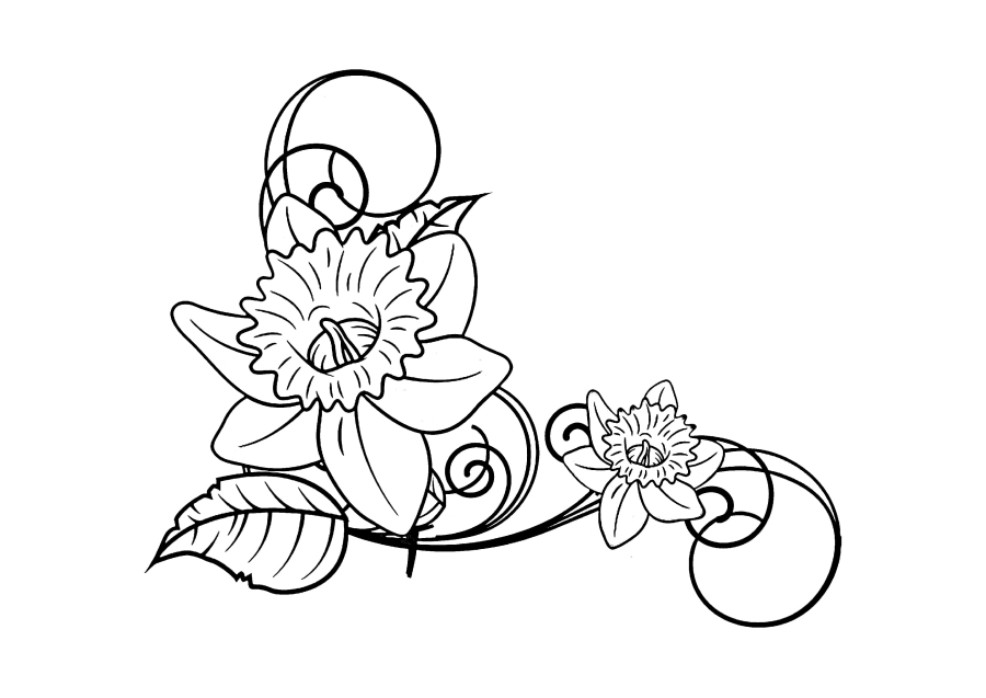 Long and detailed flowers