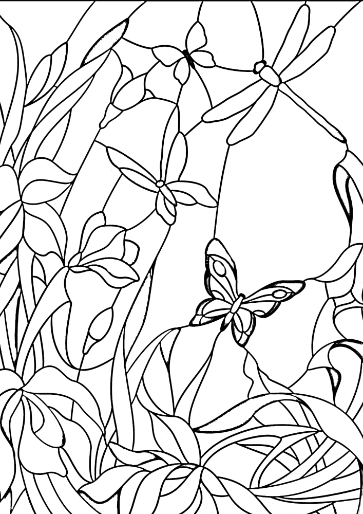 Butterflies and dragonflies on a background of flowers