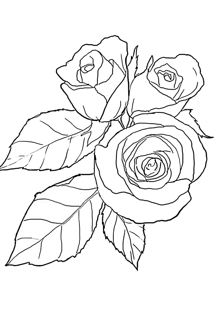 Flowers-coloring book