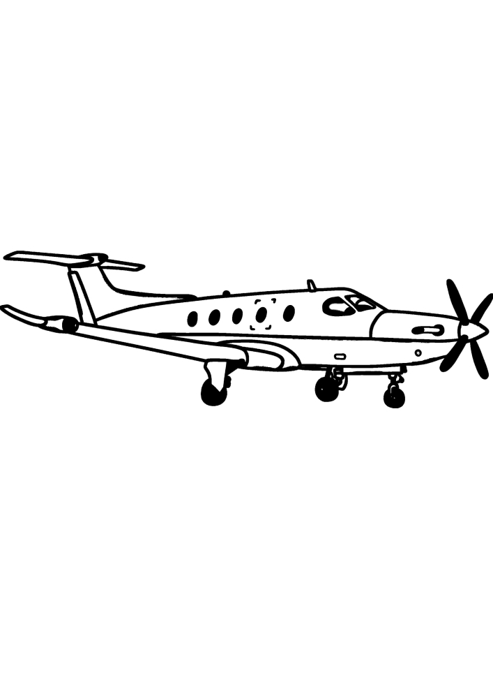 Airplane with a propeller - black and white picture