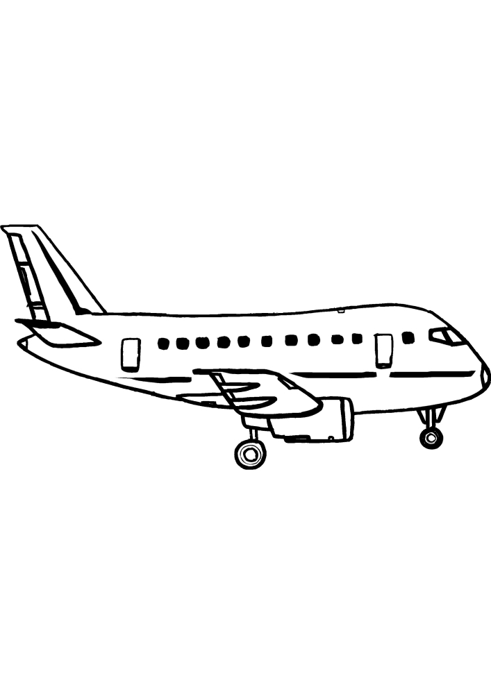 A passenger plane transports people around the world.