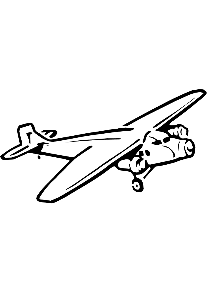 Avião transporta passageiros