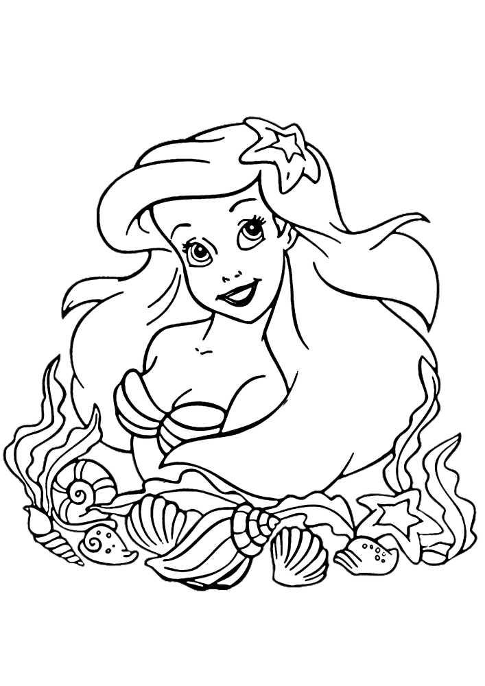 Ariel entre conchas - colorear