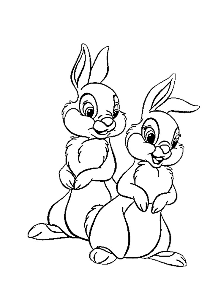 Cute, modest, shy people bunny