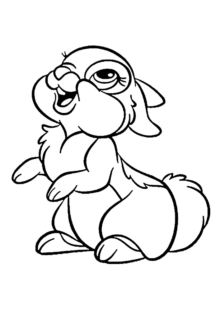 Cute fluffy bunny looks up