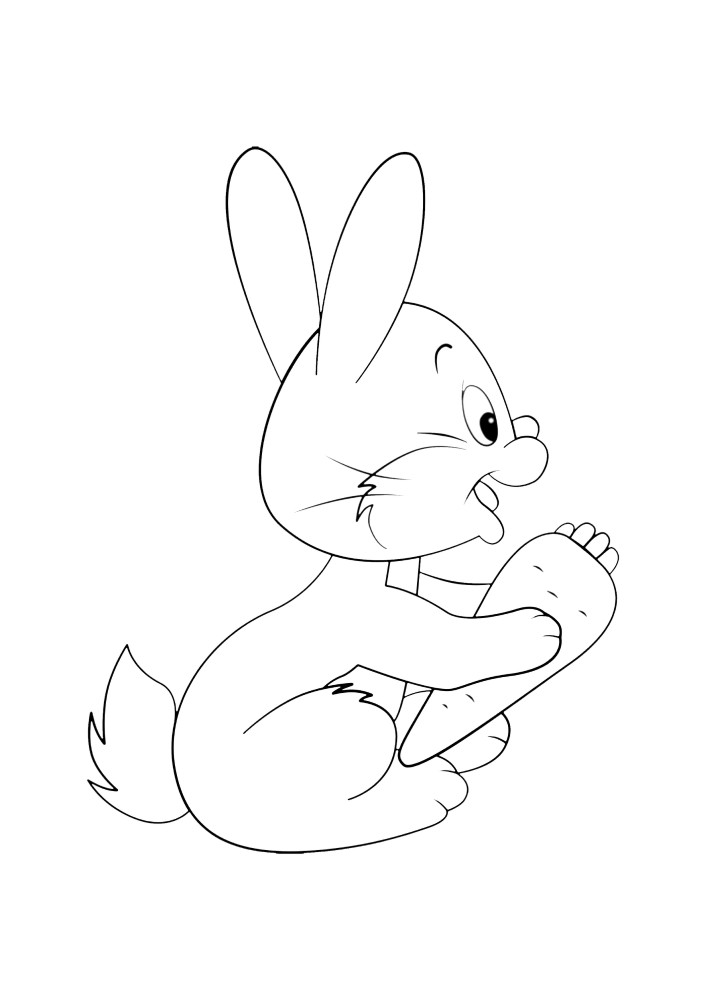 Fluffy rabbit adjusts the cap