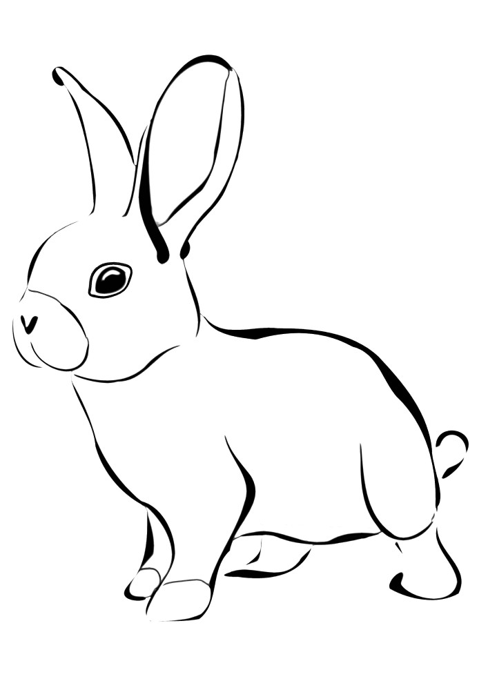 Lindo conejito-muy fácil de colorear, incluso para los niños muy pequeños!