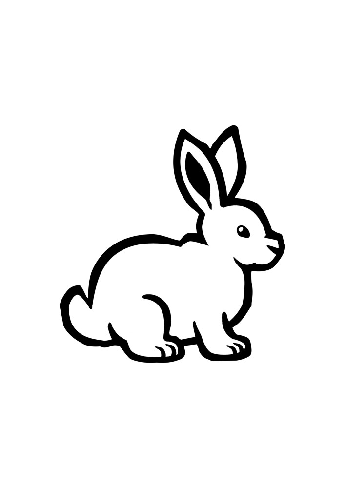 Cute and fluffy rabbit, which is easy to paint in any color