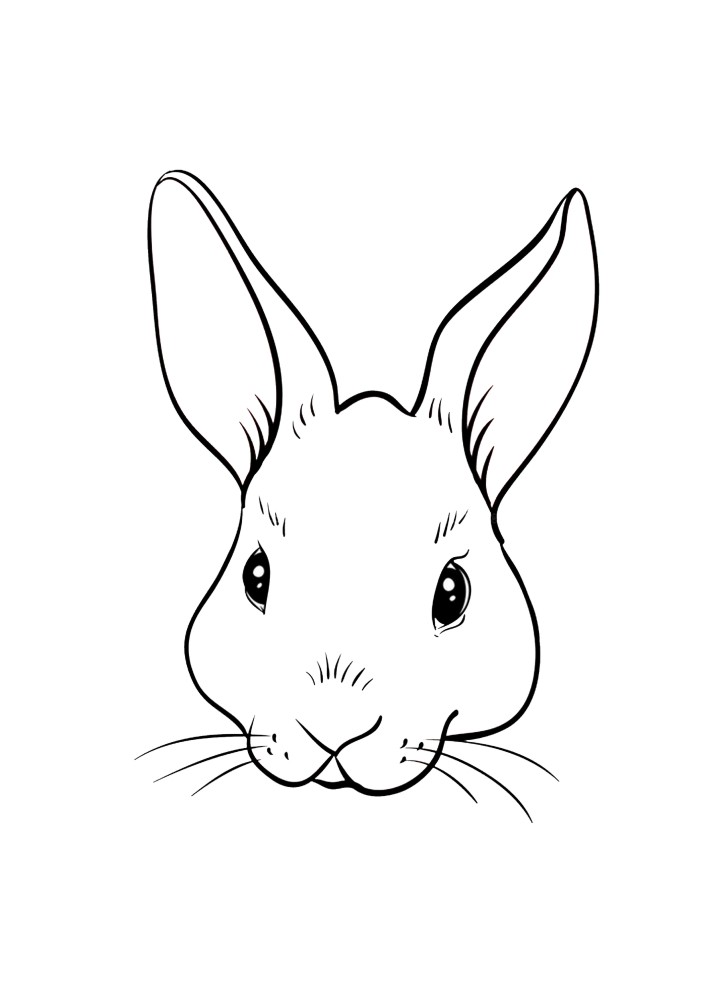 Раскраска кролика из мультфильма 