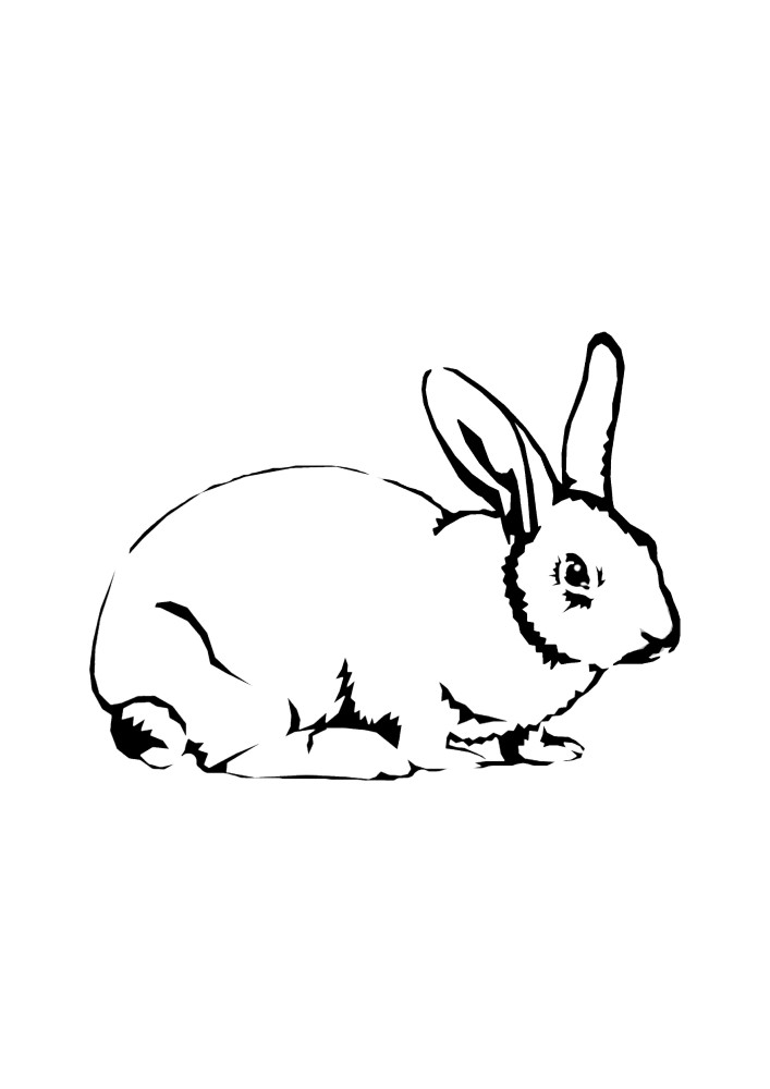Bunny Coloring Book for kids