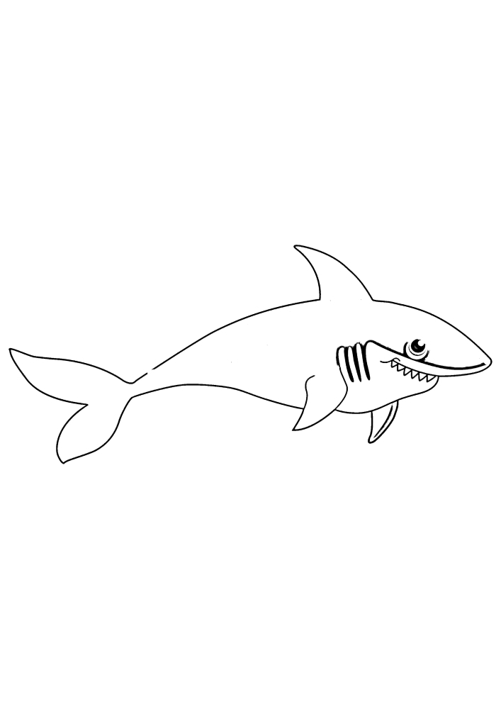 Imagem em preto e branco do tubarão
