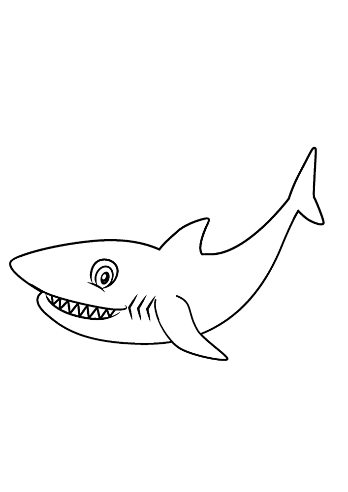 Funny shark