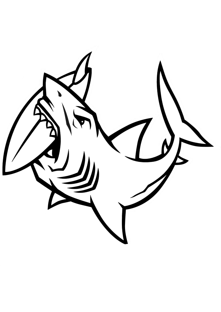 Tubarão mordiscando uma prancha