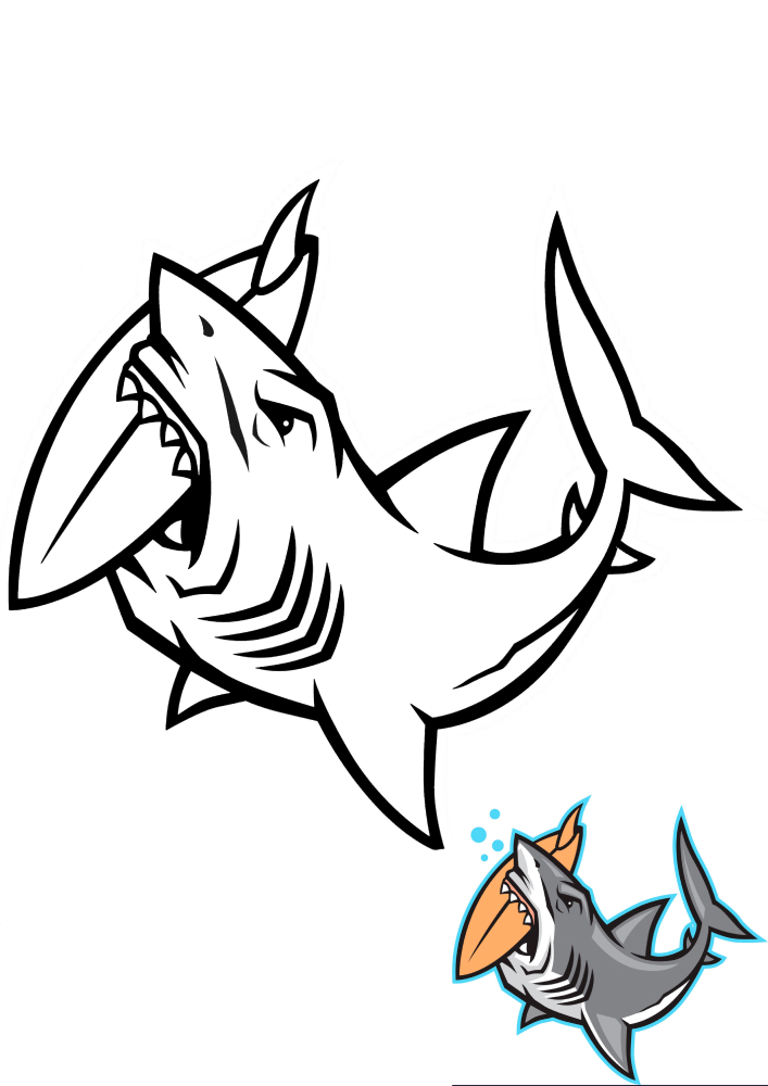 Shark nibbles on a coloring board with a coloring sample