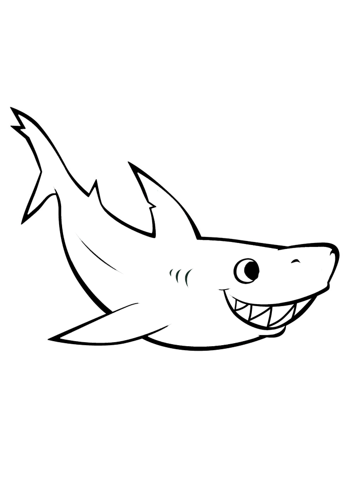 Sly shark