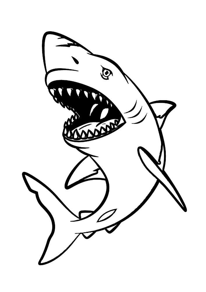 Раскраска опасной акулы