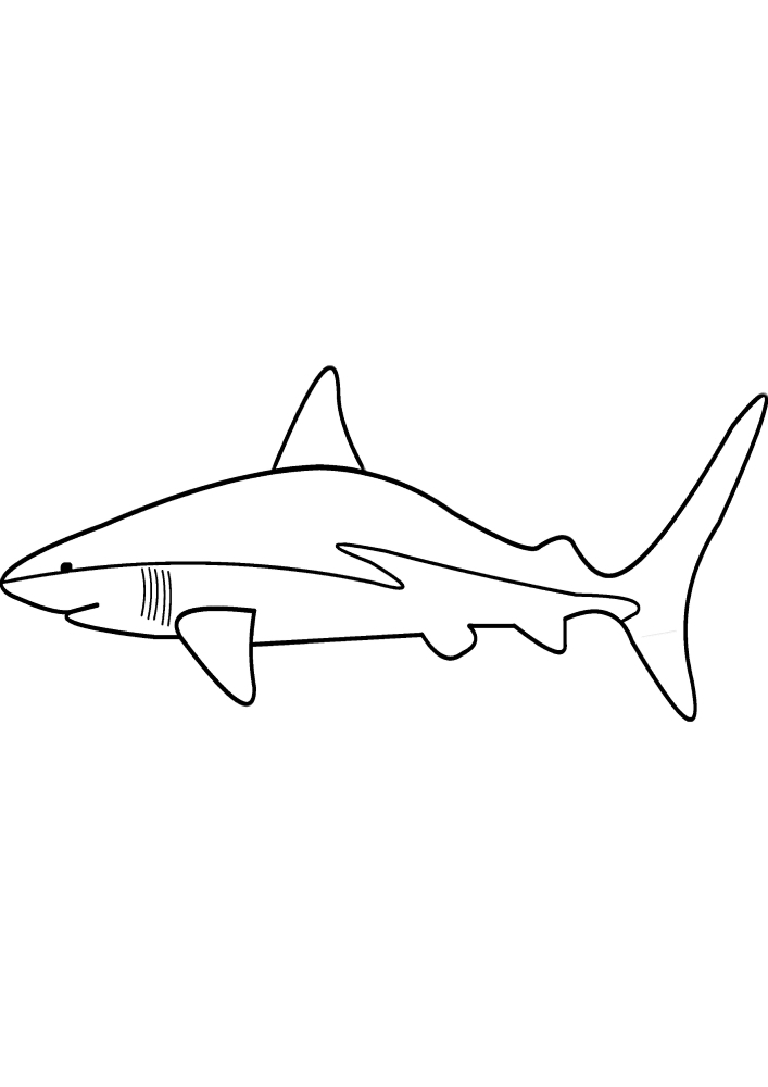 Раскраска акулы