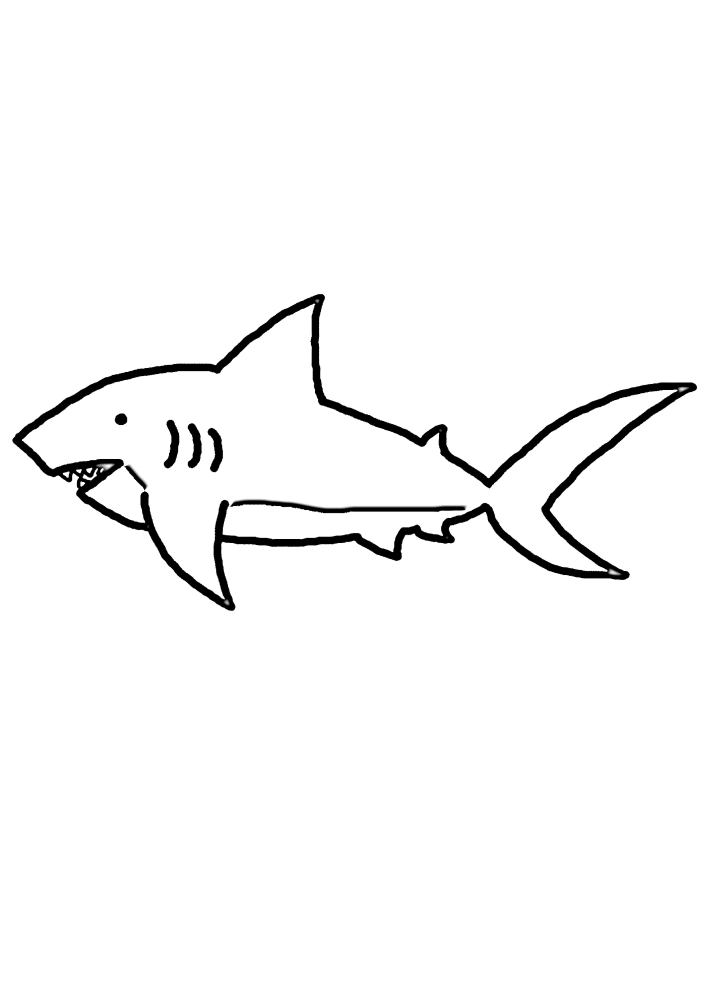 Акула - чёрно-белое изображение для детей