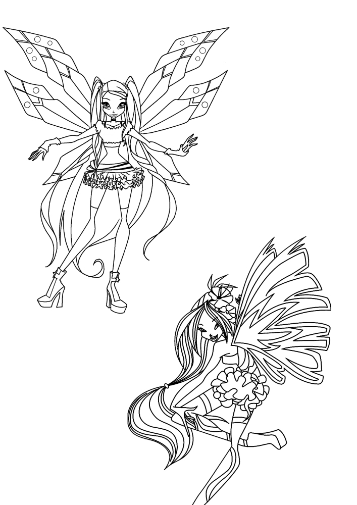 Winx Team-Coloring book for girls