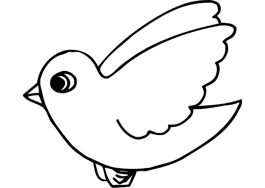 Vogel Malbuch für Kinder