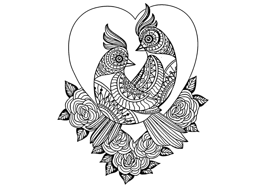 Birds on the background of the heart