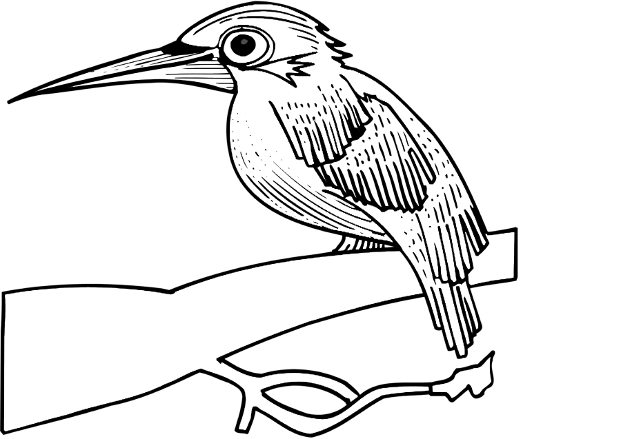 Птичка, сидящая на веточке, и другие животные