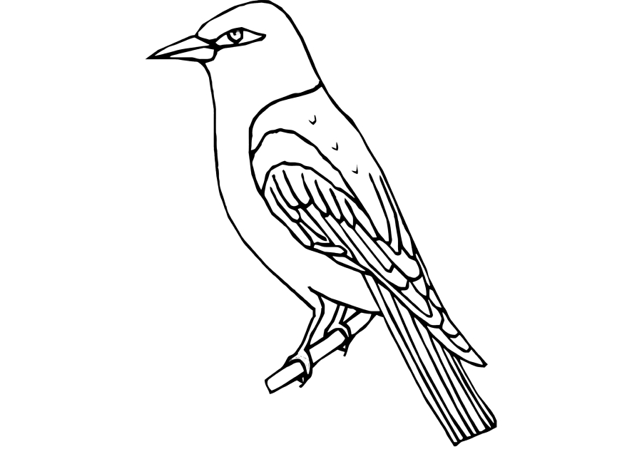 Птичка, сидящая на веточке, и другие животные