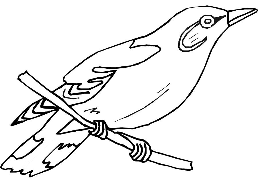 A bird sits on a twig
