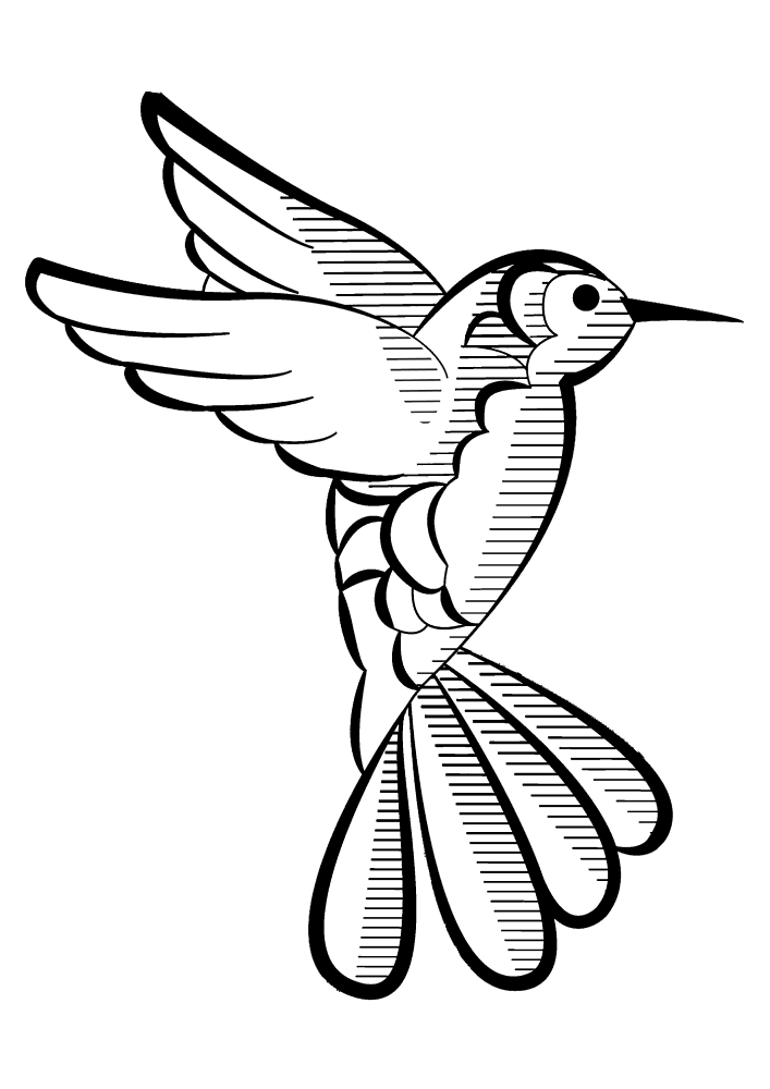 Färbung Kolibri