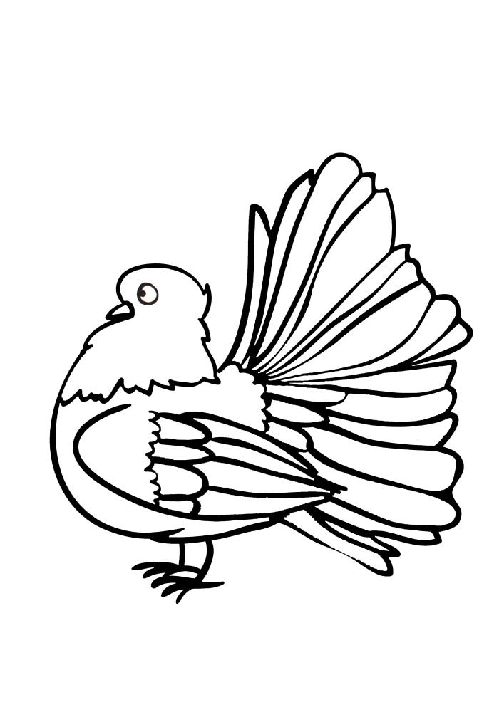 Um pássaro que pode ser decorado em várias cores