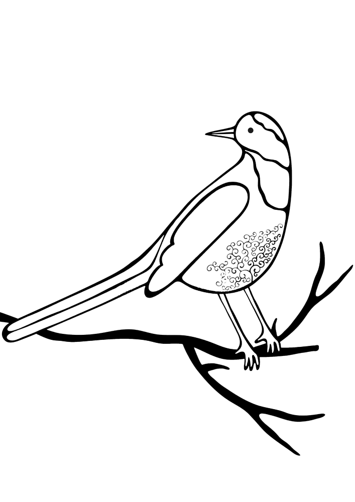 Pássaro Hoopod em um galho