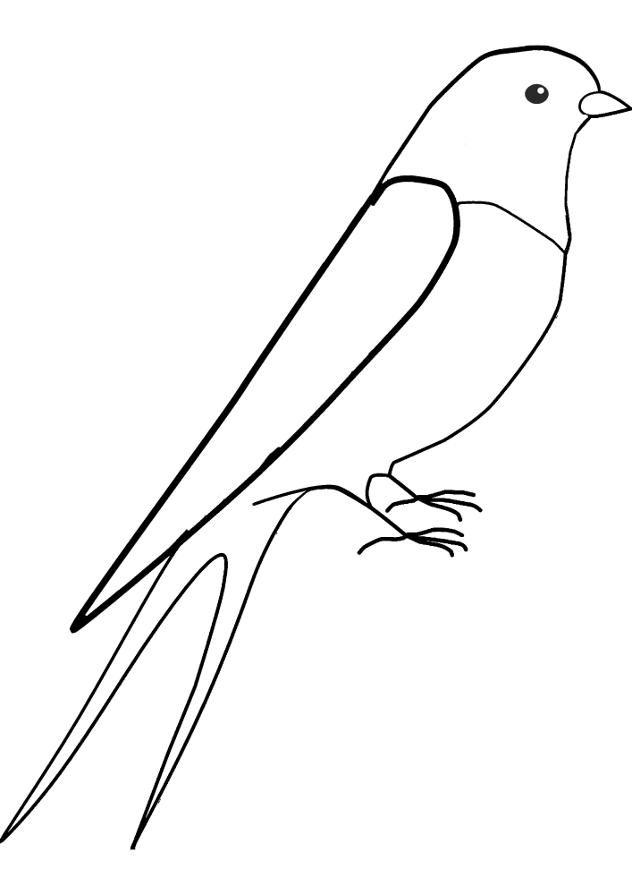 Летящий голубь