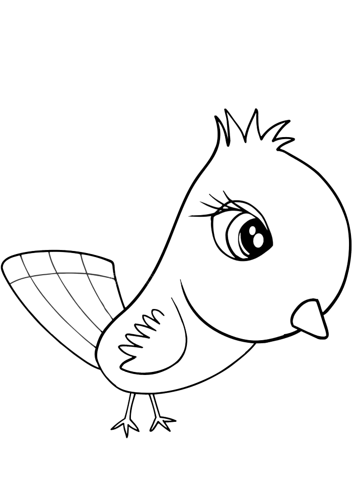 Happy bird - coloring book for kids