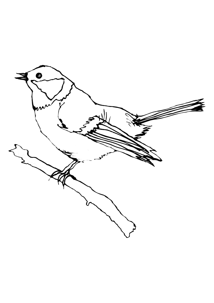 Pássaro pequeno para colorir