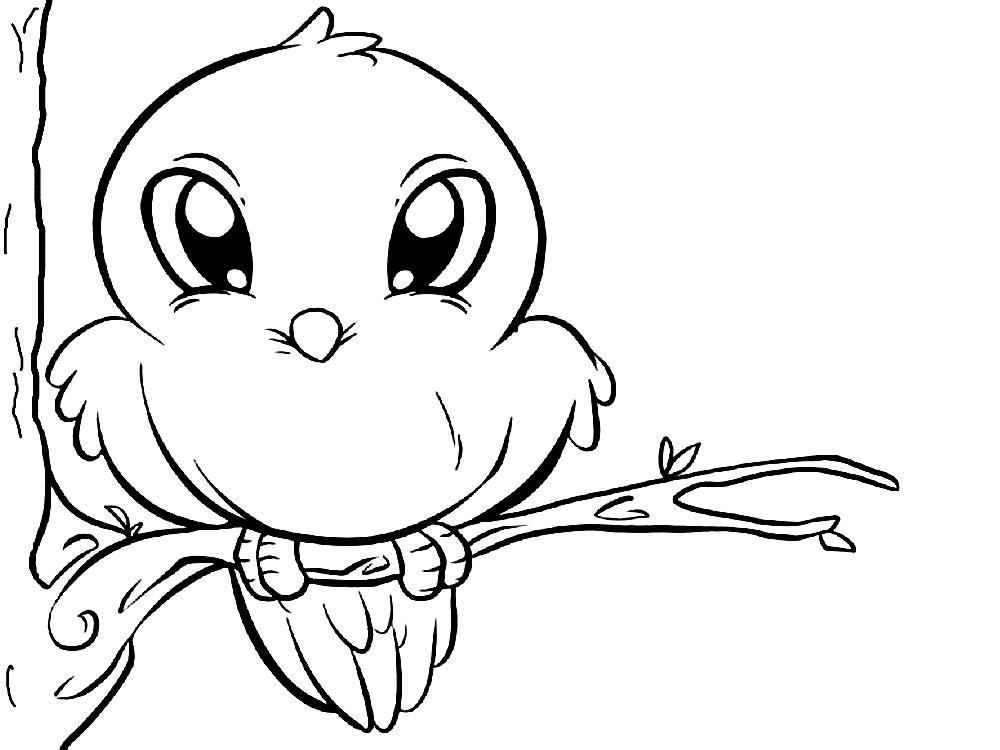 Coloring page Birds Bird for children 5-6 years old