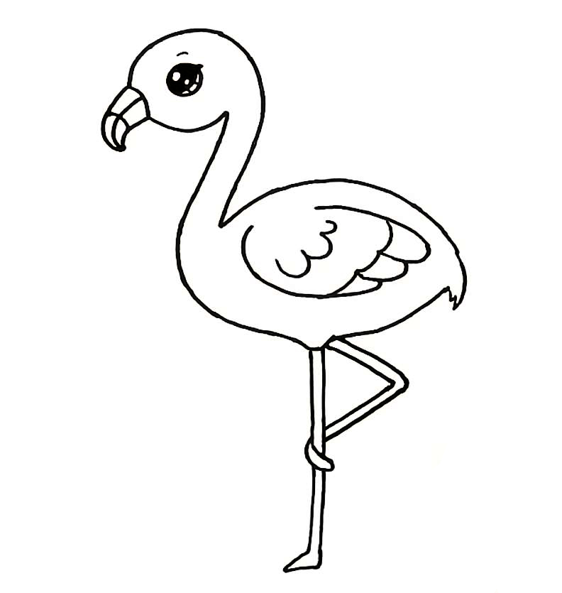 Раскраска Птицы Фламинго Распечатать