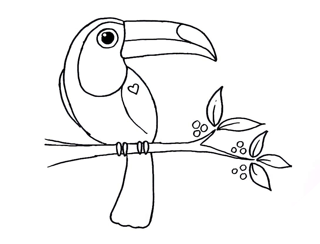 Coloriage Oiseaux Toucan