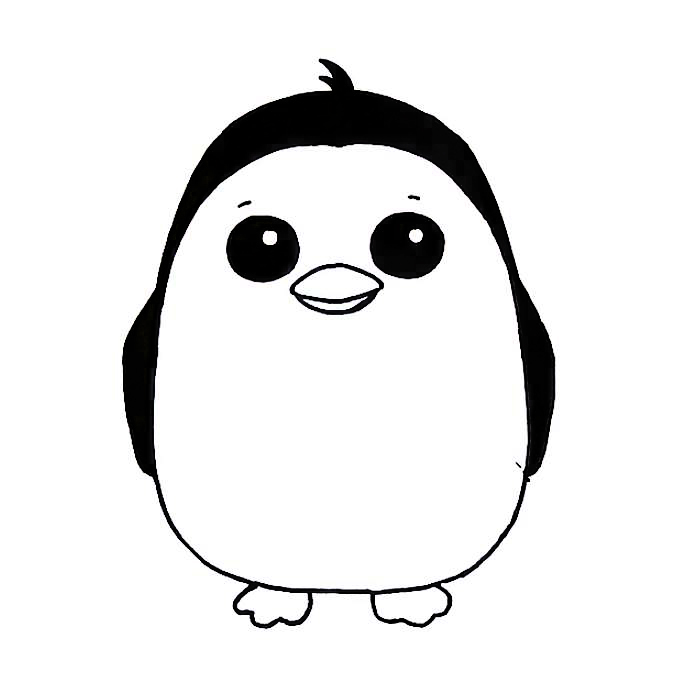 Coloring page Penguin Penguin for children 5-6 years old