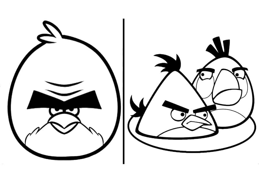 Drei verschiedene Angry birds - ausmalbild für Kinder