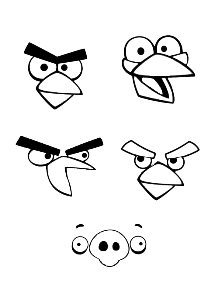The faces of four angry birds and a pig thief