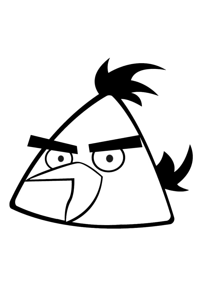 Os três pássaros do mal e a inscrição de Angry Birds