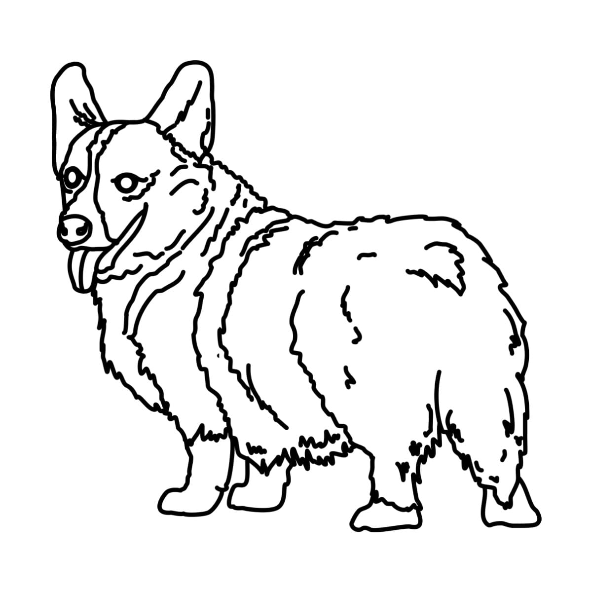 Coloring page Corgi Corgi is a kind breed of dog