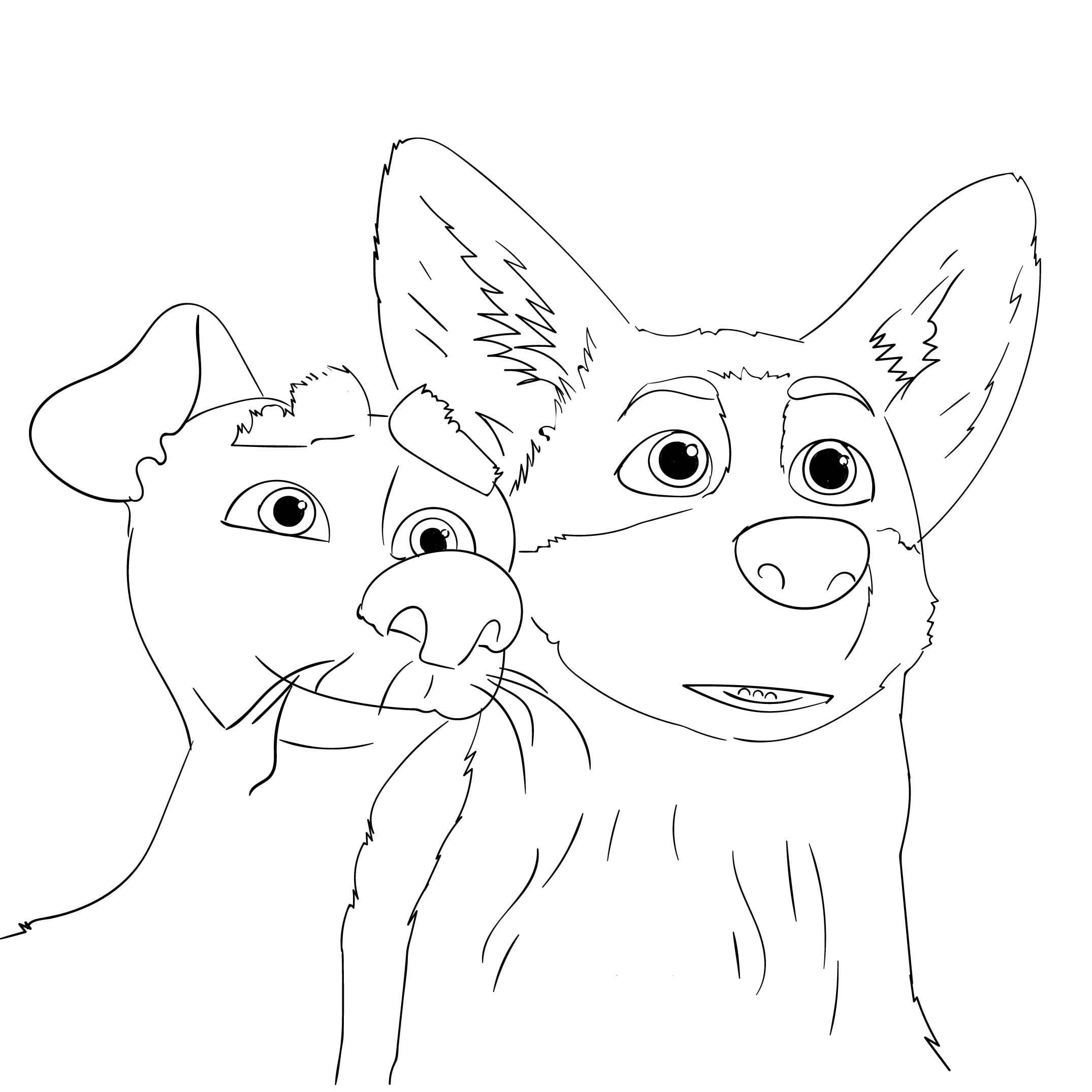 Раскраска Корги Дружелюбные породы собак