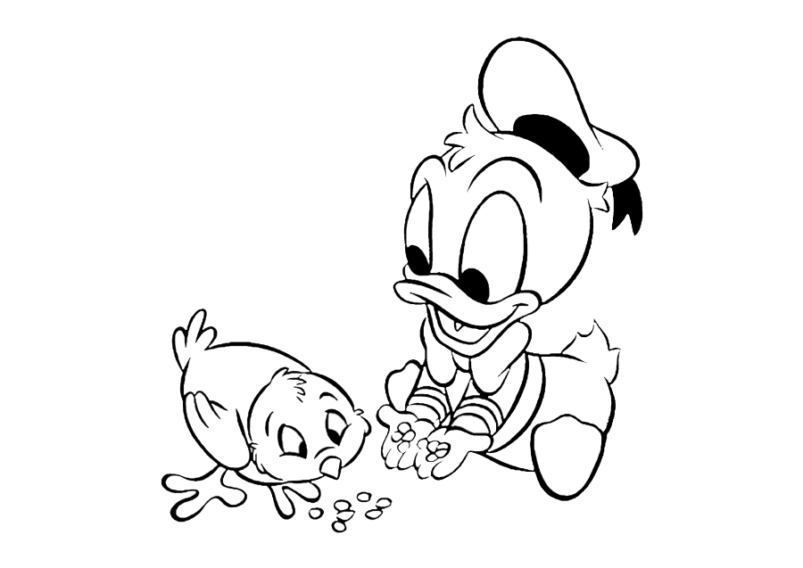 Little Donald feeds the baby bird