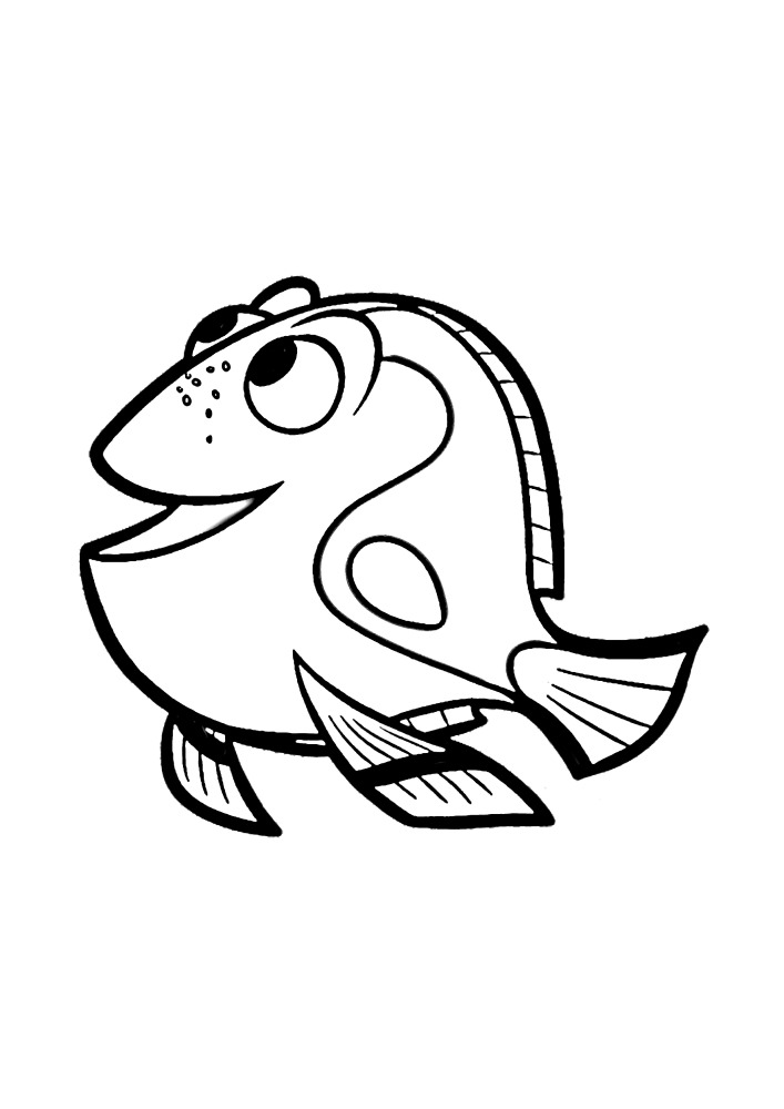 Fisch Bulk
