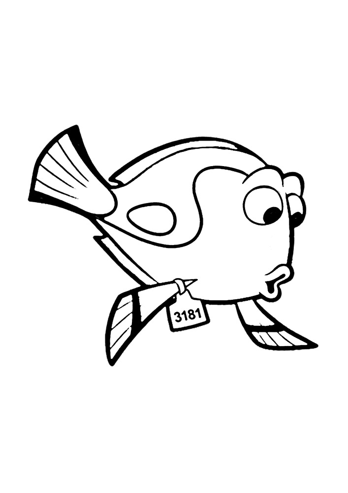 A fish with a frame on the back